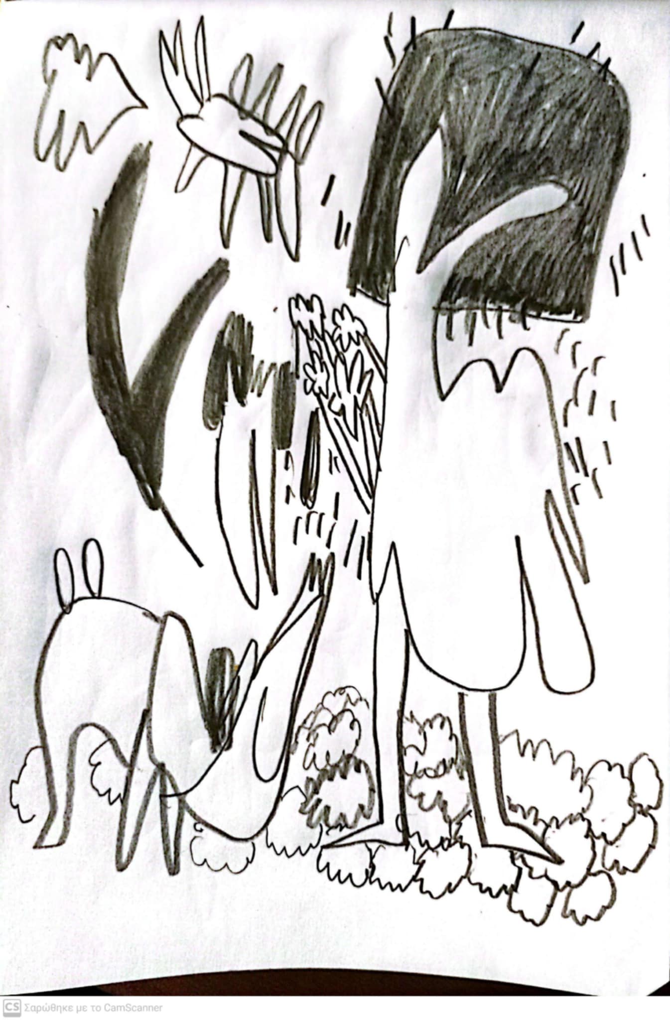 drawings