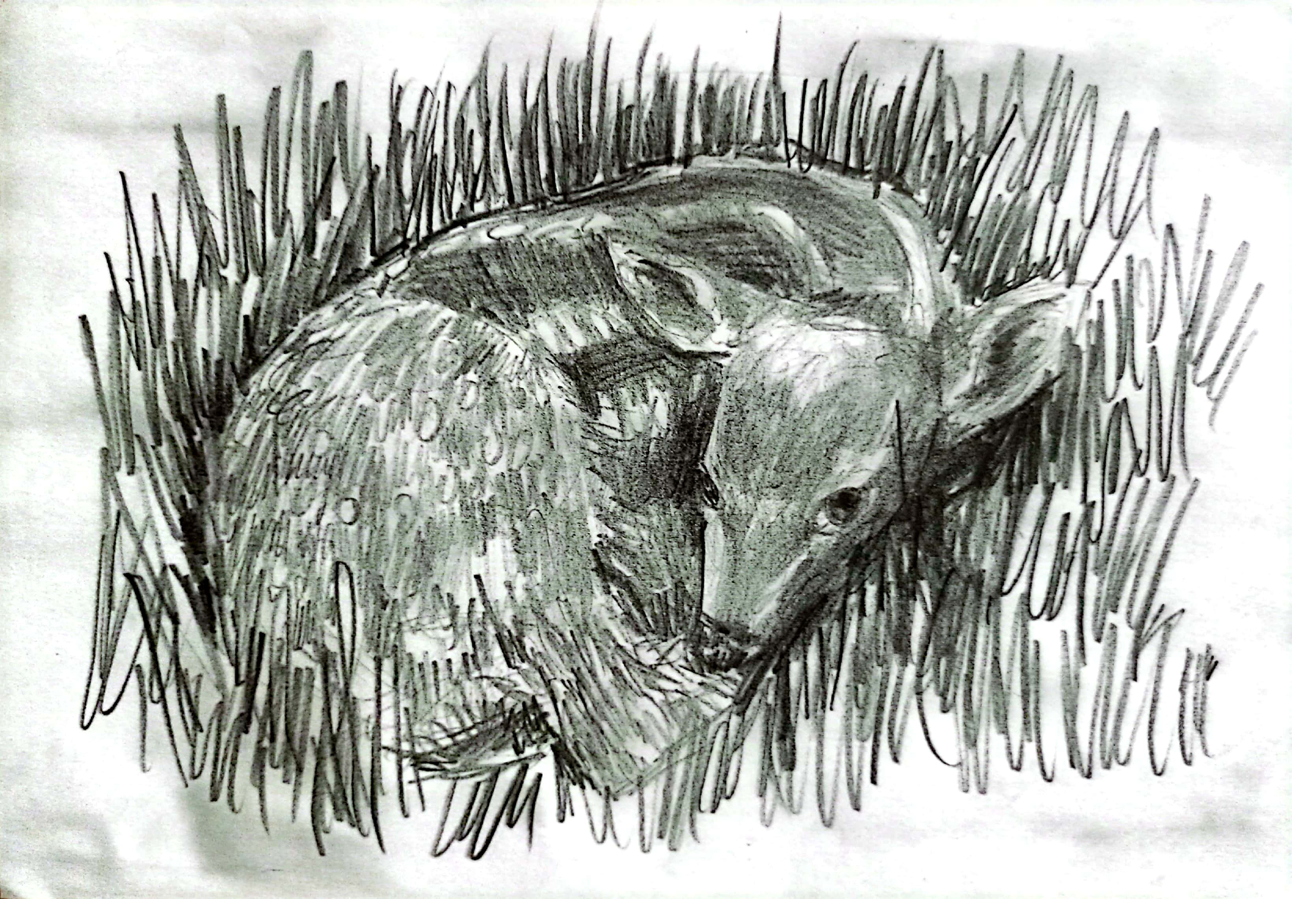 Drawing 1